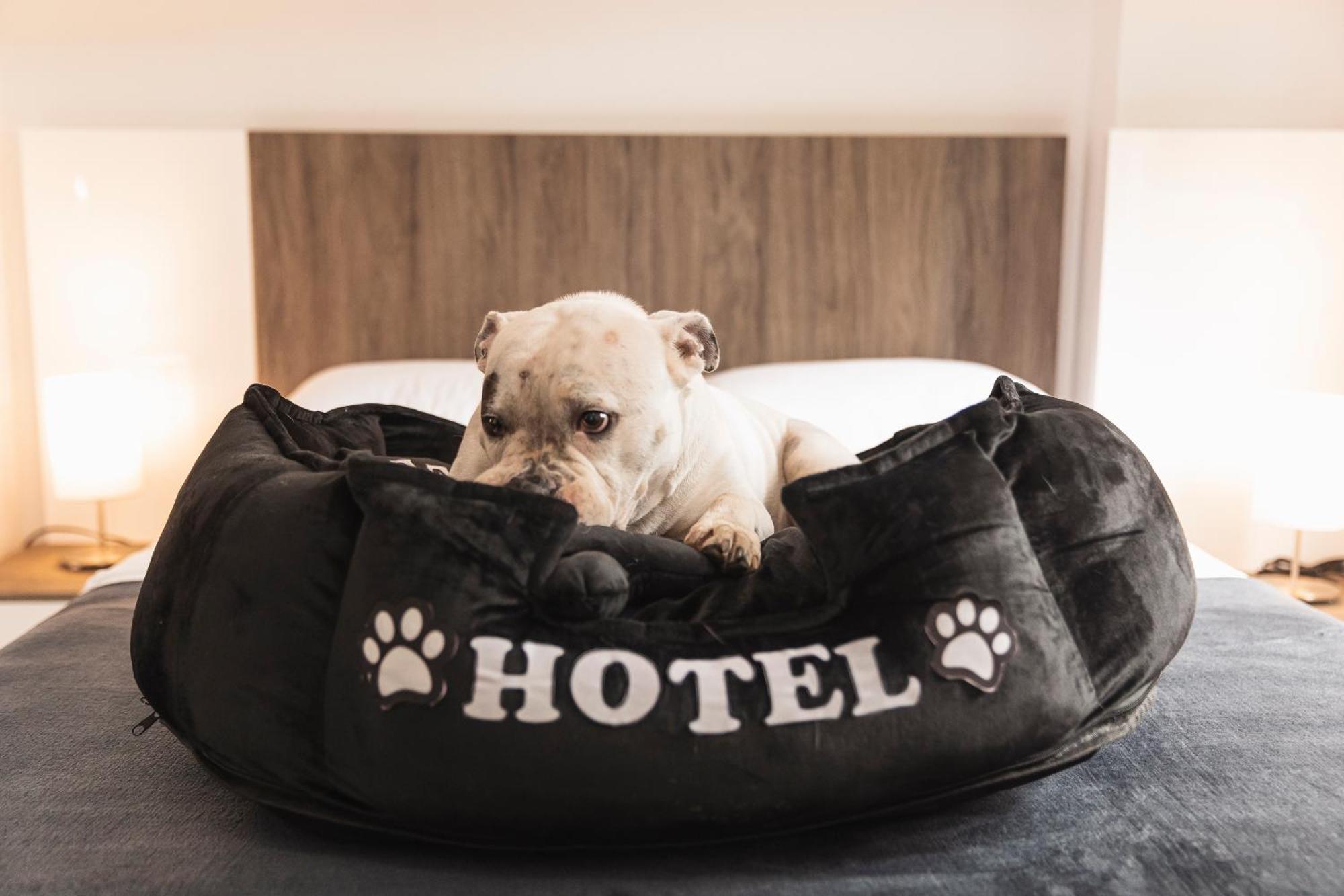 Hotel Boutique Business Center 칼리 외부 사진